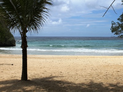 Rustig zandstrand op Jamaica met palmbomen en uitzicht op de Caribische Zee.