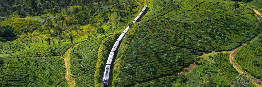 Trein door groene theeplantages in Sri Lanka tijdens groepsrondreis Sri Lanka en Malediven.