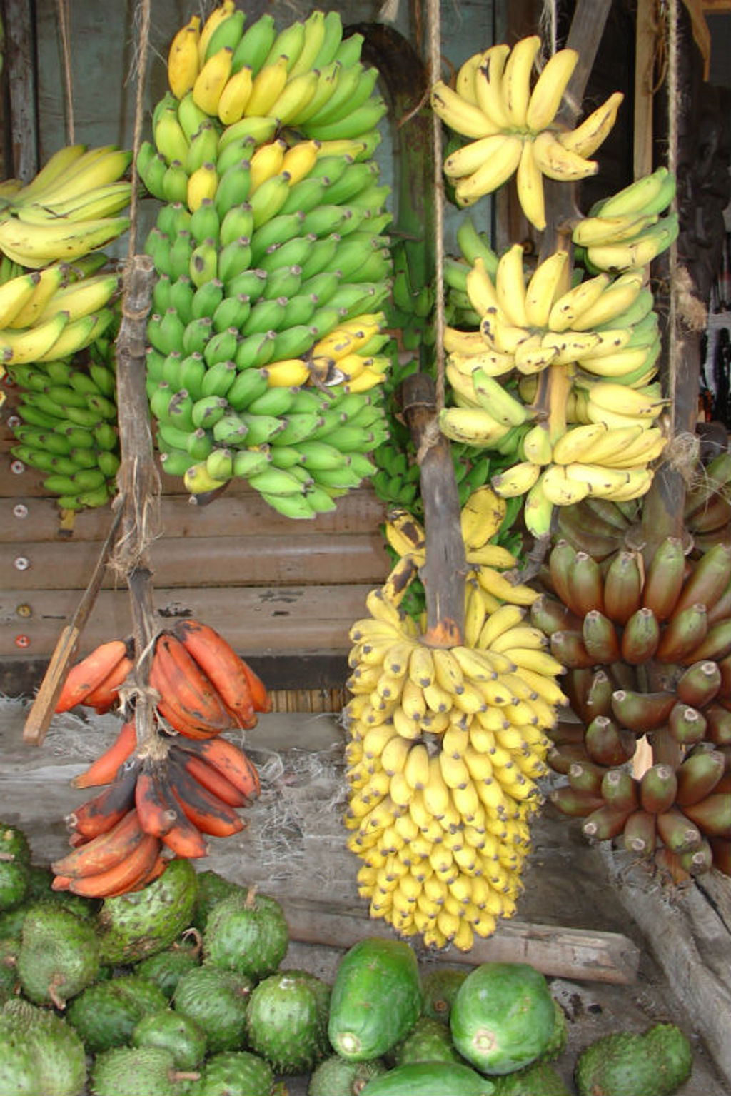 Bananen en andere tropische vruchten op een lokale markt tijdens groepsrondreis Kenia, Tanzania en Zanzibar.