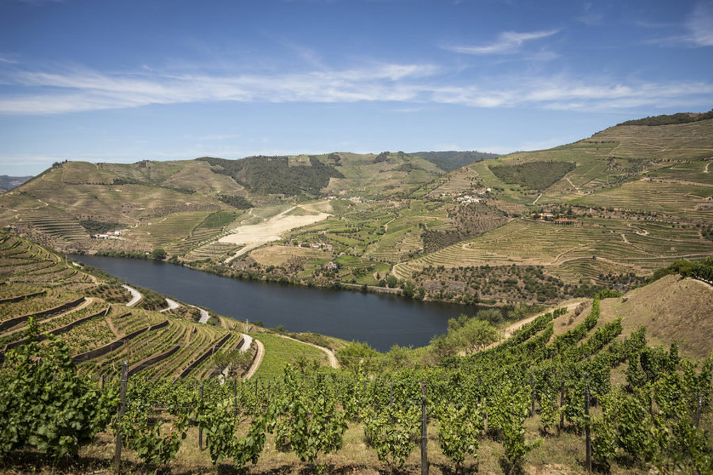 Terrasvormige wijngaarden langs de Douro-rivier in de Dourovallei, Portugal.