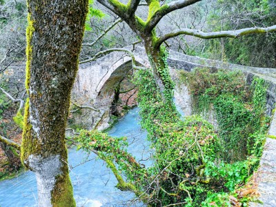 Oude stenen boogbrug over een rivier in een groen, bosrijk dal in Griekenland.