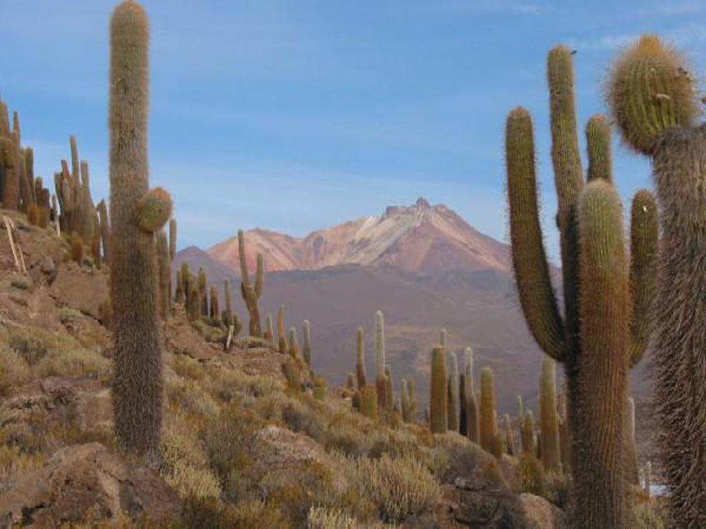 Uitzicht over de ruige hoogvlaktes van de Andes tijdens groepsrondreis door Argentinië, Bolivia en Peru.