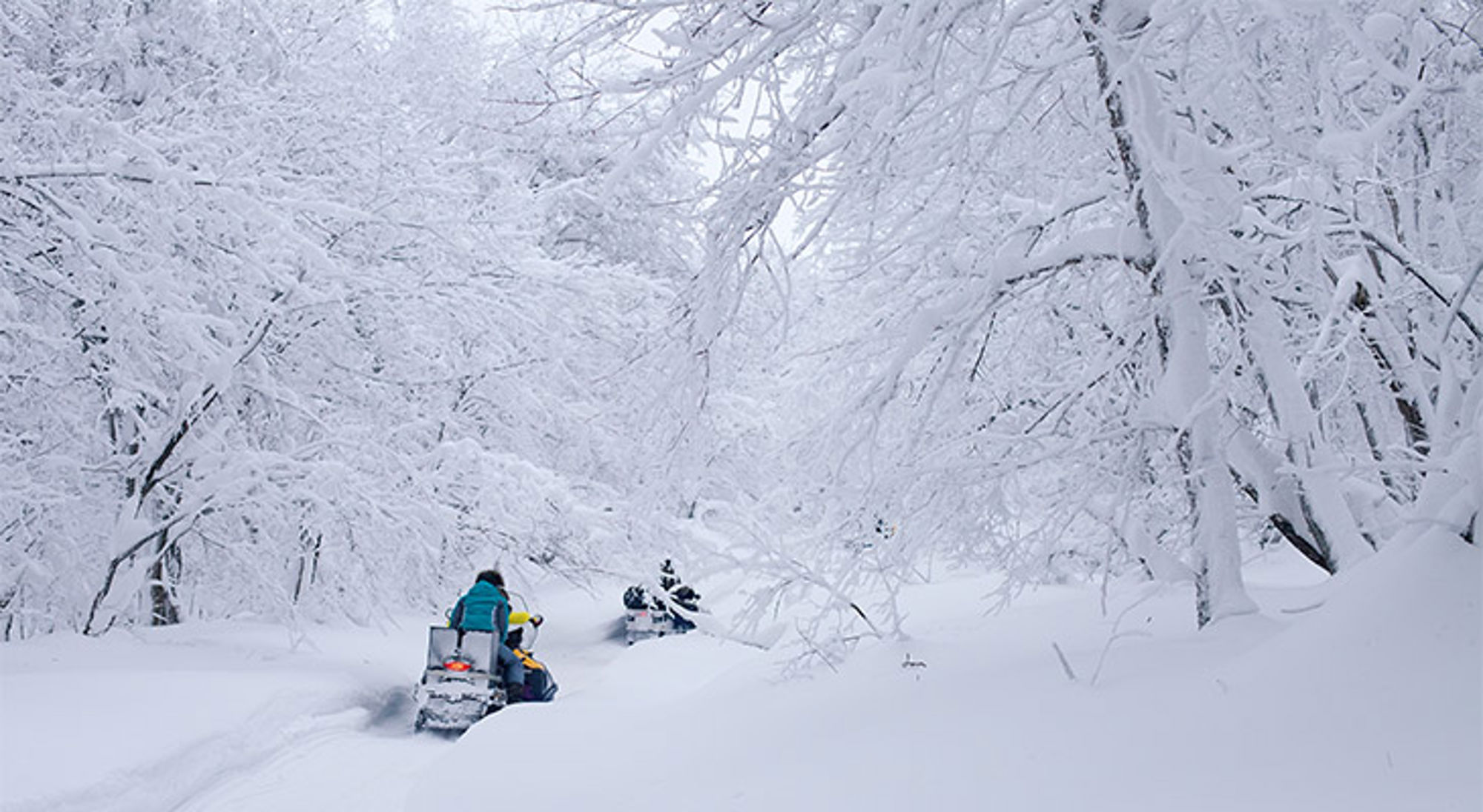 Sneeuwscooters rijden door een besneeuwd bos met zwaar bevroren takken.