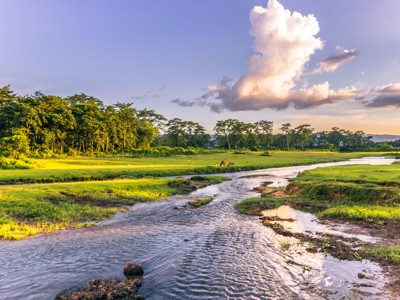 Rivierlandschap in Chitwan Nationaal Park, Nepal, met groene vlaktes en bosrand bij avondlicht.