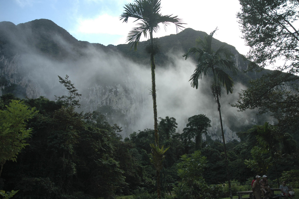 Mistig regenwoud met steile kalksteenbergen in Maleisisch Borneo.
