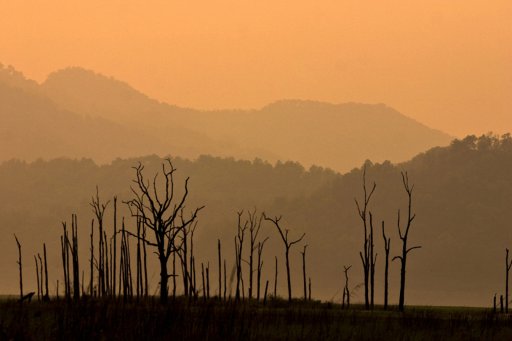 Zonsondergang boven de heuvels en kale bomen in een nationaal park in India tijdens de tijgerreis.