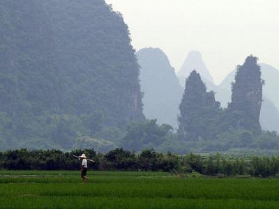 Rijstvelden met karstbergen bij Yangshuo tijdens de Route China van 17 dagen.