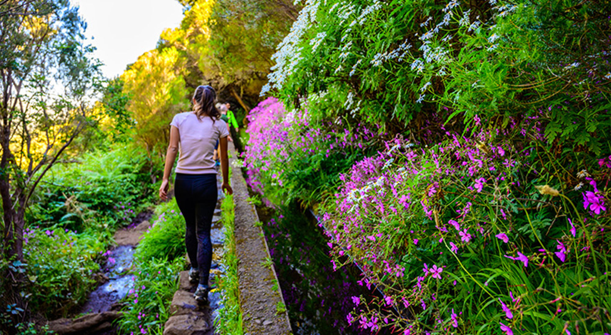 Wandelaars op een smal pad langs een beekje tussen kleurrijke bloemen tijdens een wandelvakantie met Sawadee.
