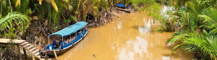 Kokospalmen langs een smalle waterweg in Ben Tre, Mekongdelta, Vietnam.