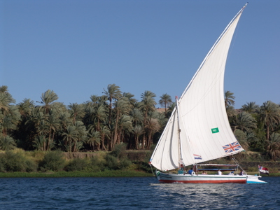 Felucca met witte zeilen op de Nijl langs palmbomen tijdens Route Egypte.