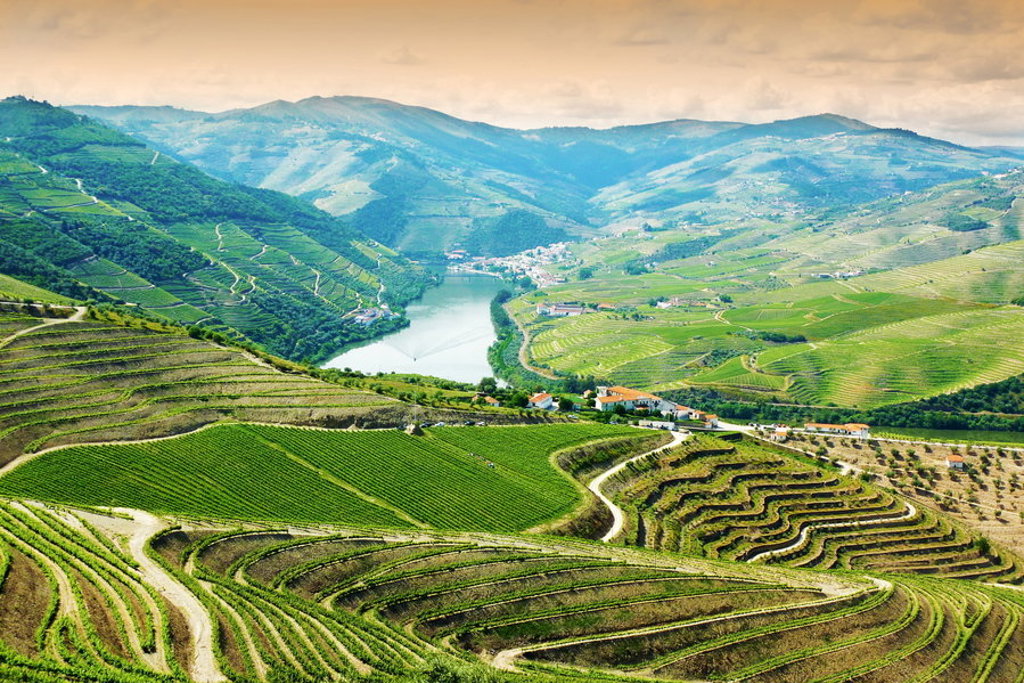 Terrasvormige wijngaarden en de rivier de Douro in de Douro Vallei, Portugal.