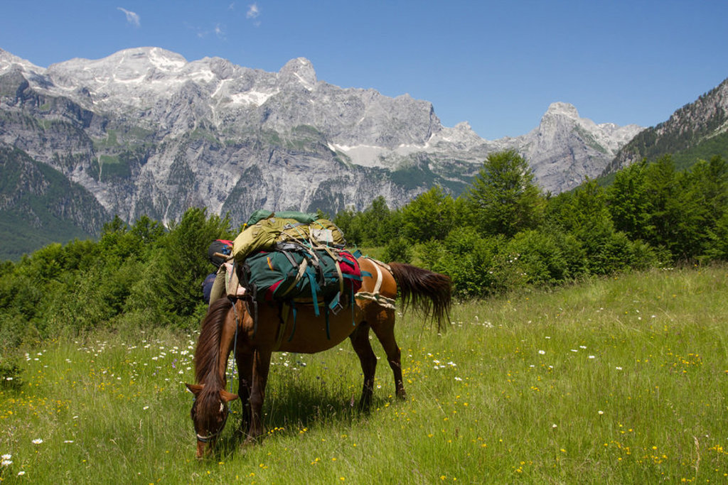 Pakpaard met bepakking in groene bergweide met de Peaks of the Balkan op de achtergrond.