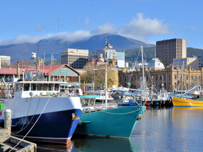 Vissersboten in de haven van Hobart, Tasmanië, met Mount Wellington op de achtergrond.