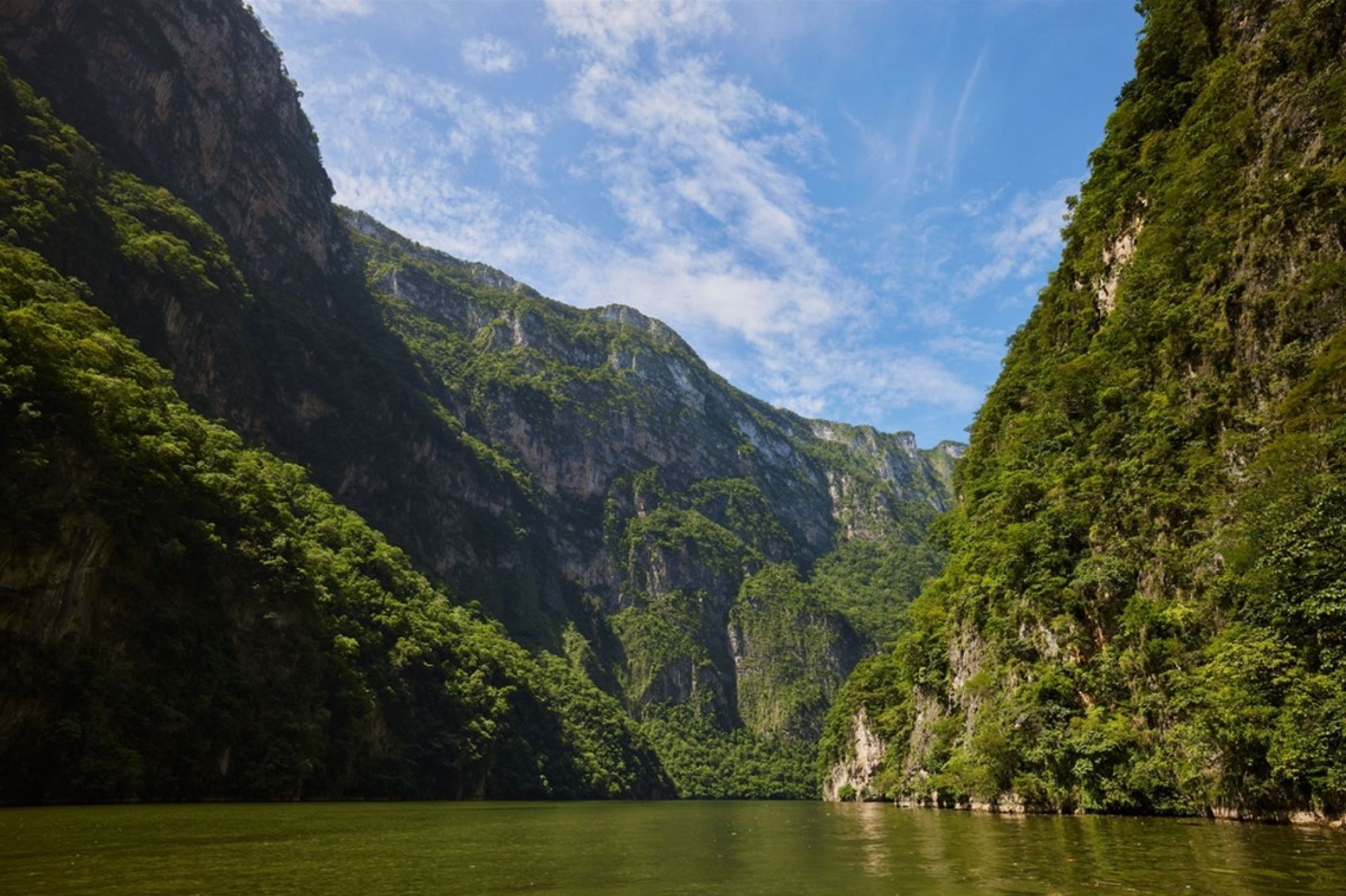 Groene kloof met steile rotswanden en rivier onder een blauwe lucht in Mexico.