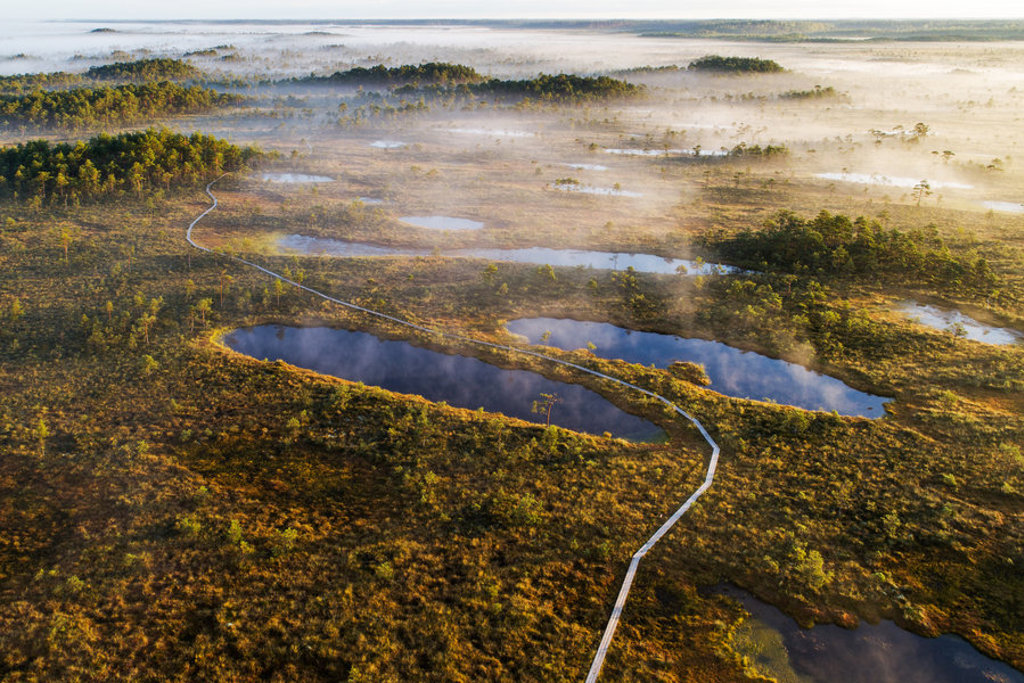 Mistig moeraslandschap met wandelpad en vennen in de Baltische Staten tijdens een familiereis door Polen en de Baltische Staten.