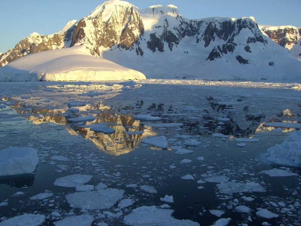 Koningspinguïns in een kolonie op South Georgia tijdens een groepsrondreis Antarctica en de Poolcirkel.