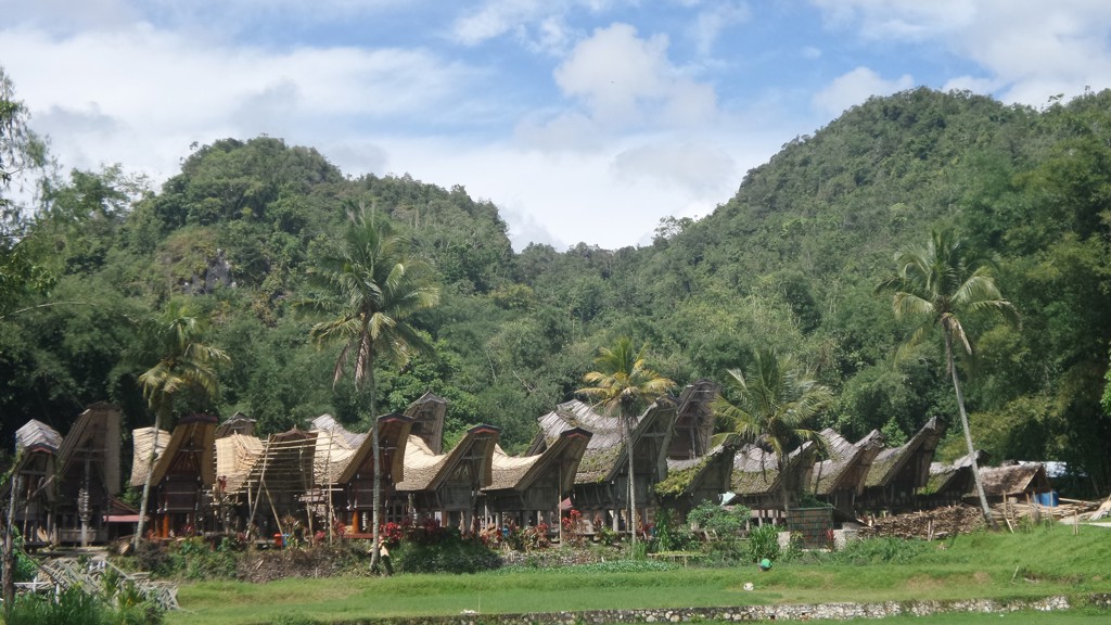 Traditionele Tongkonan-huizen in Toraja, Sulawesi, omringd door palmen en groene heuvels.