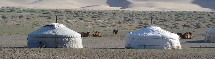 Mongoolse yurts met kamelen op de steppe, met zandduinen op de achtergrond in Mongolië.