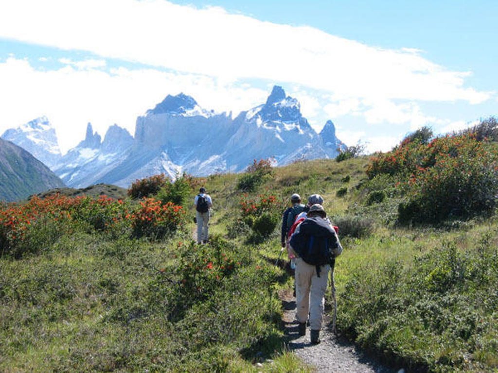 Wandelaars op een pad in Patagonië met besneeuwde bergtoppen op de achtergrond.
