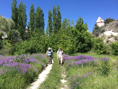 Wandelaars op een pad tussen paarse bloemen en groene bomen in Cappadocië, Turkije.