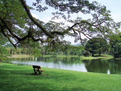 Rustige parkvijver met bankje onder grote boom, route Singapore, Maleisië & Thailand.