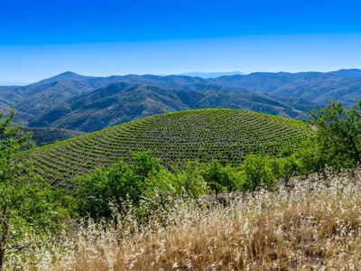 Groene terrasvelden in de Sierra Nevada met uitzicht op bergketens onder een helderblauwe lucht.