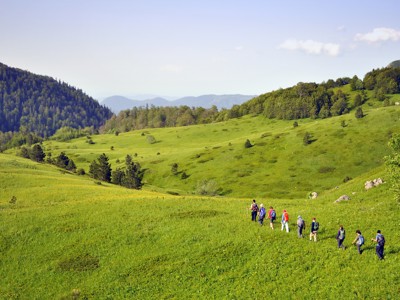 Wandelaars in groene heuvels tijdens de 10-daagse wandelvakantie in Bosnië & Herzegovina.