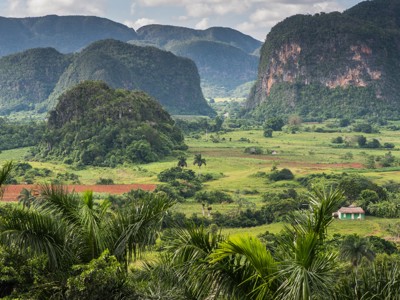Groene vallei met mogotes en akkers in Viñales, Cuba.