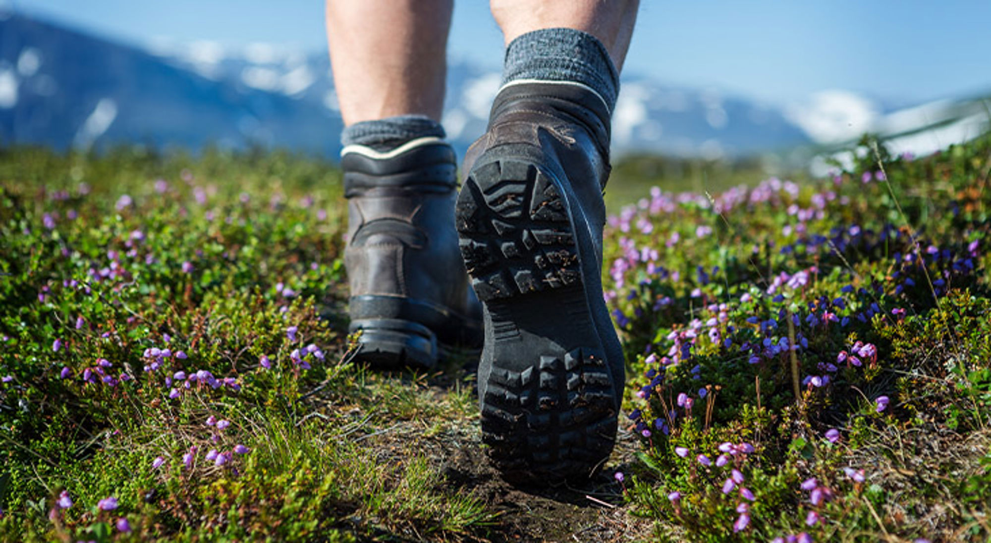 Wandelschoenen Wandelaar met bergschoenen op een pad tussen paarse bloemen, met bergen op de achtergrond.