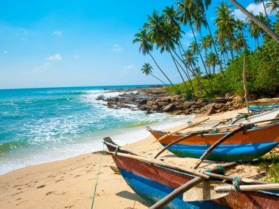 Vissersboten op een tropisch strand met palmbomen aan de kust van Sri Lanka, onderdeel van de Route Sri Lanka.