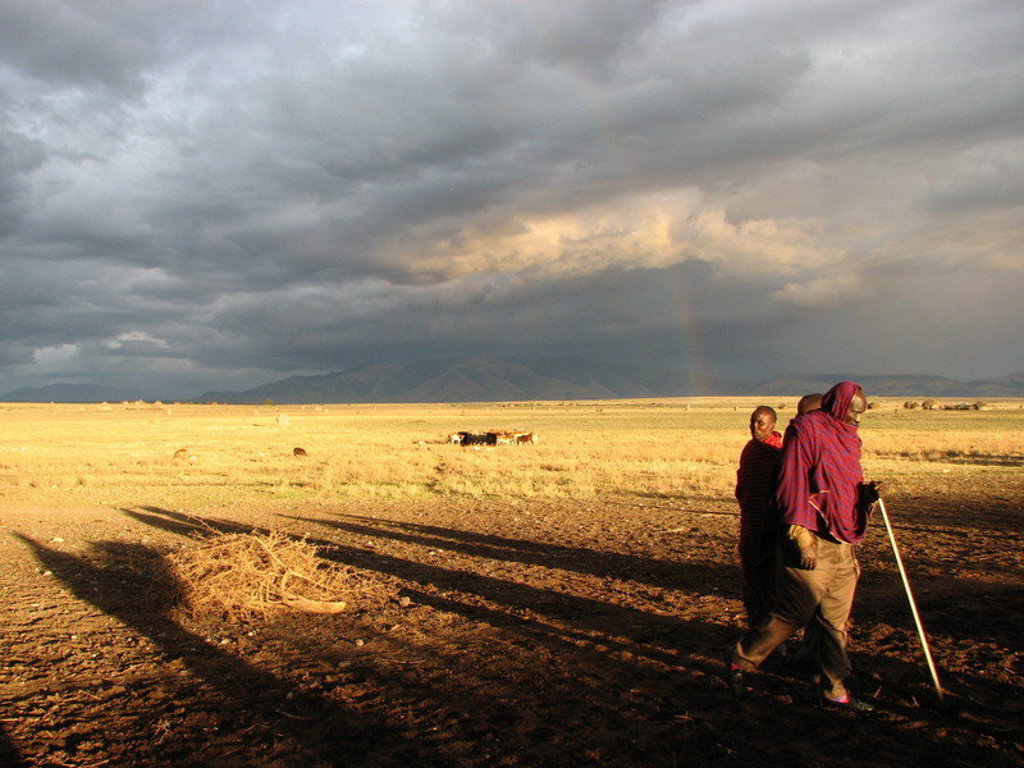Masai lopen over de savanne in Kenia bij dreigende wolken, tijdens groepsrondreis Kenia, Tanzania en Zanzibar.