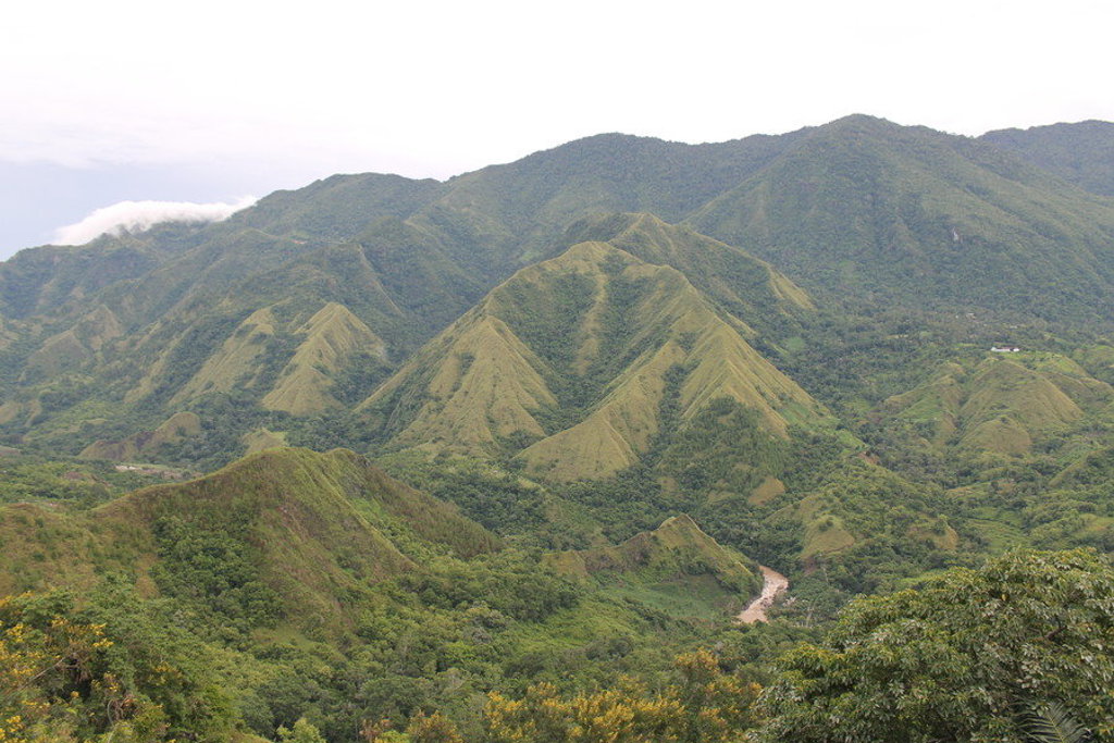 Groene bergketen met beboste heuvels tijdens de groepsrondreis Kalimantan, Sulawesi & Molukken.