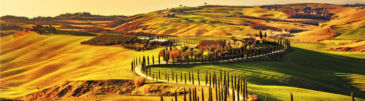 Heuvelachtig Toscaans landschap met cipressenlaan en boerderij bij zonsondergang, Italië.