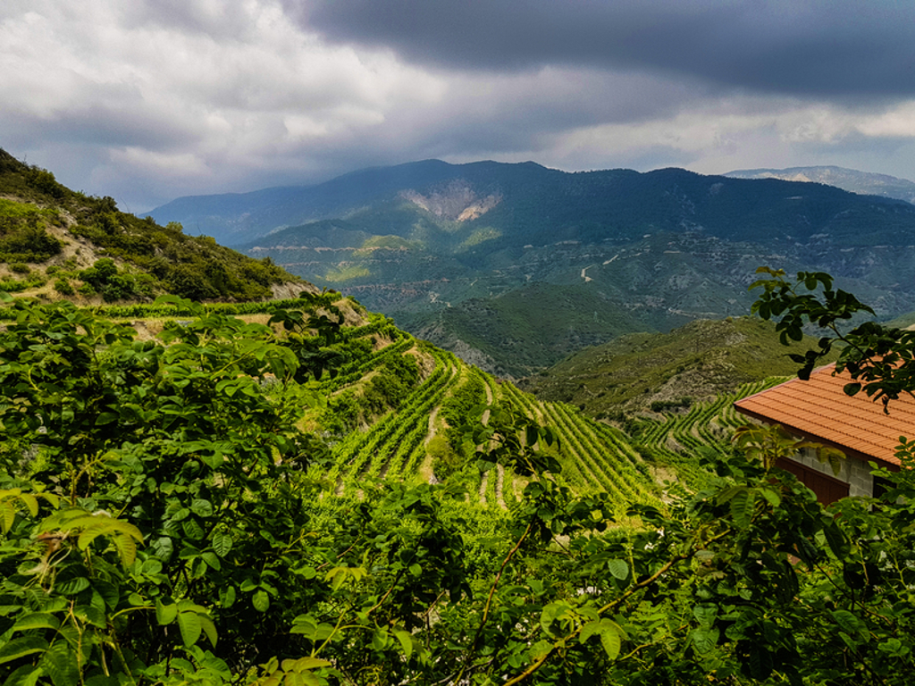 Groene terrassen in het Troödosgebergte op Cyprus, met uitzicht over de vallei onder een bewolkte lucht.