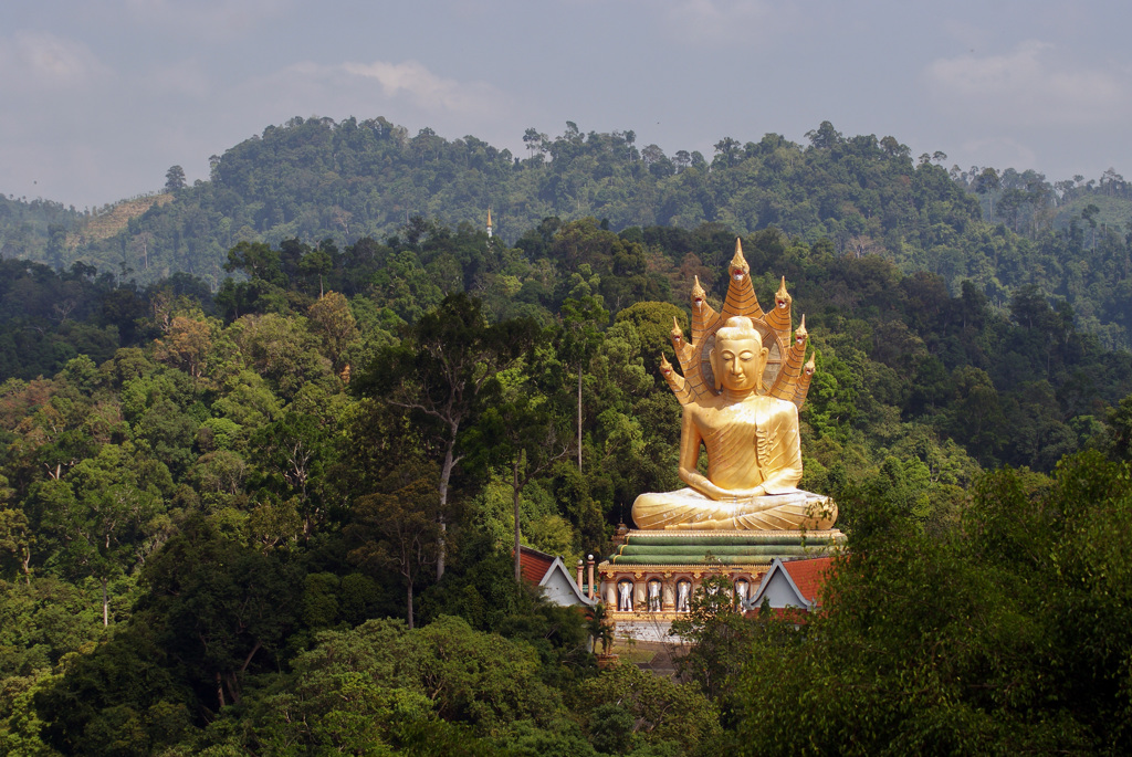 Gouden Boeddhabeeld bij tempel, omringd door groene jungle in Thailand.