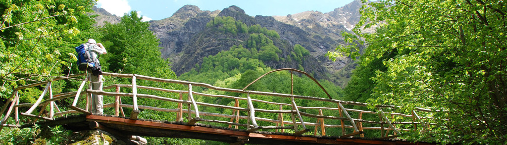 Wandelaar met rugzak op houten brug in de Bulgaarse Balkan, met groene bossen en bergtoppen op de achtergrond.