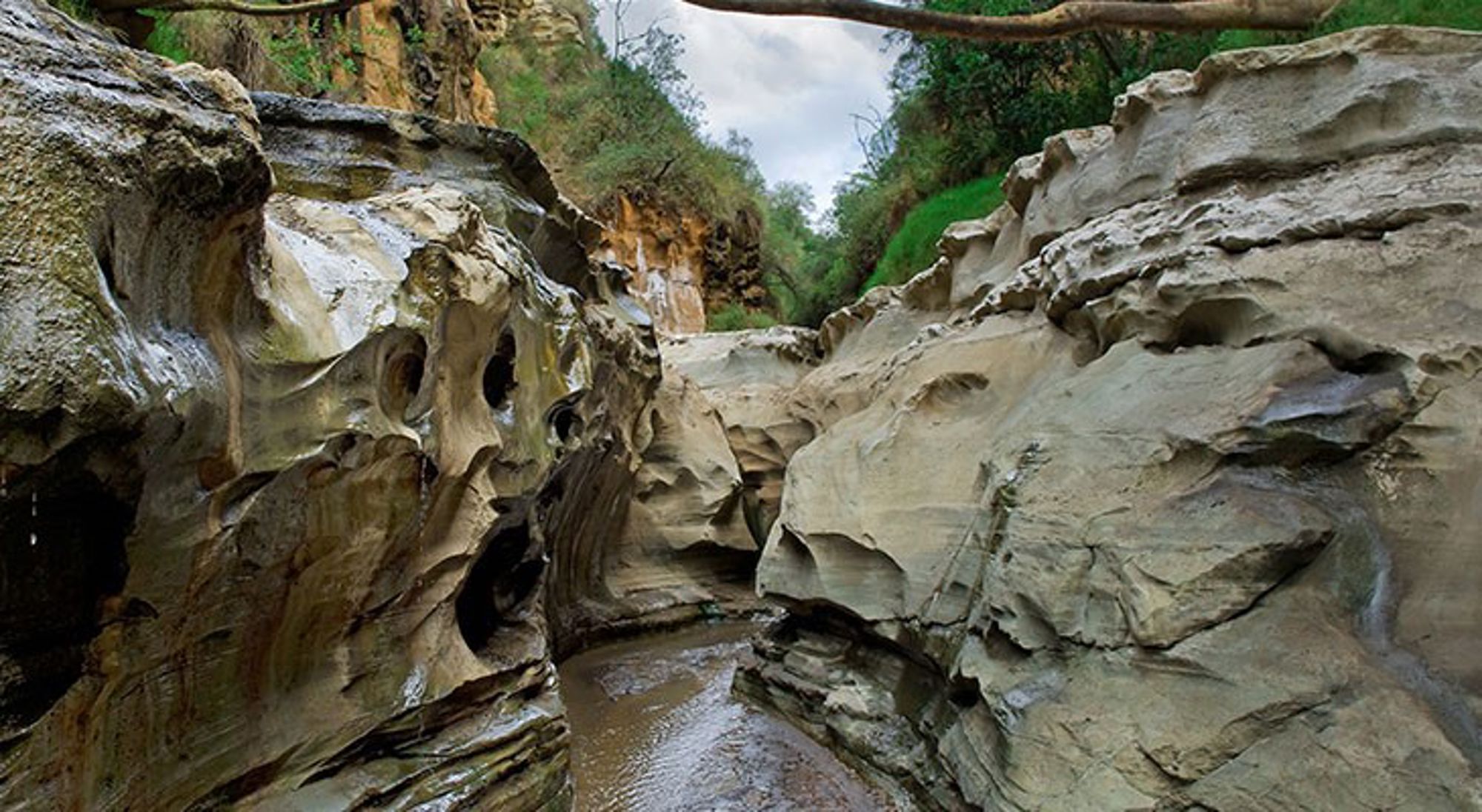 hells-gate-national-park Smalle kloof met uitgesleten rotswanden en een ondiep beekje tussen de stenen.