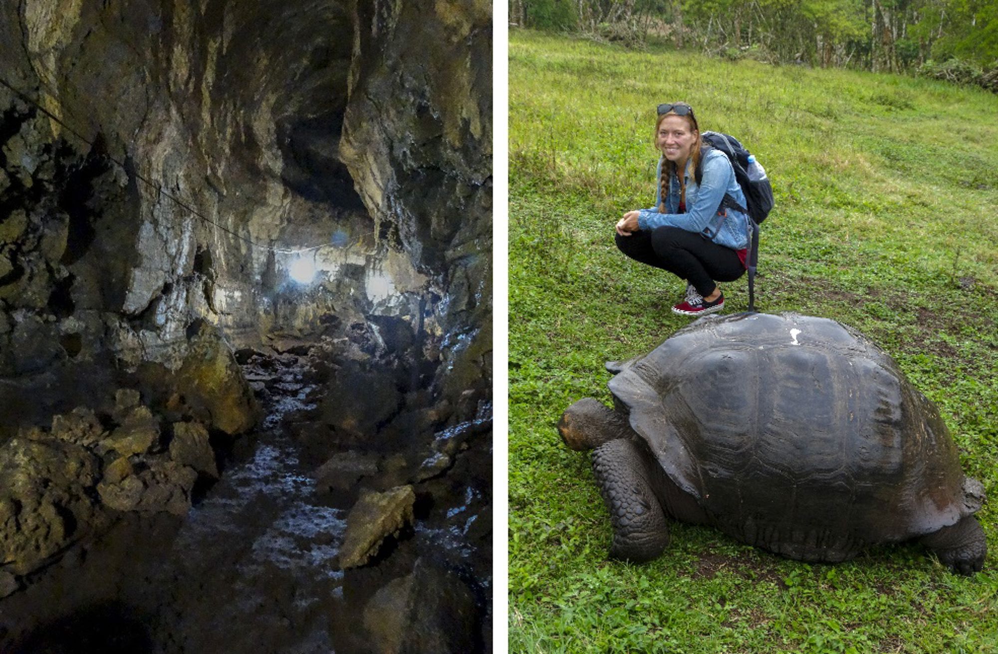 Wandelaar hurkt naast een grote reuzenschildpad op een groen grasveld.