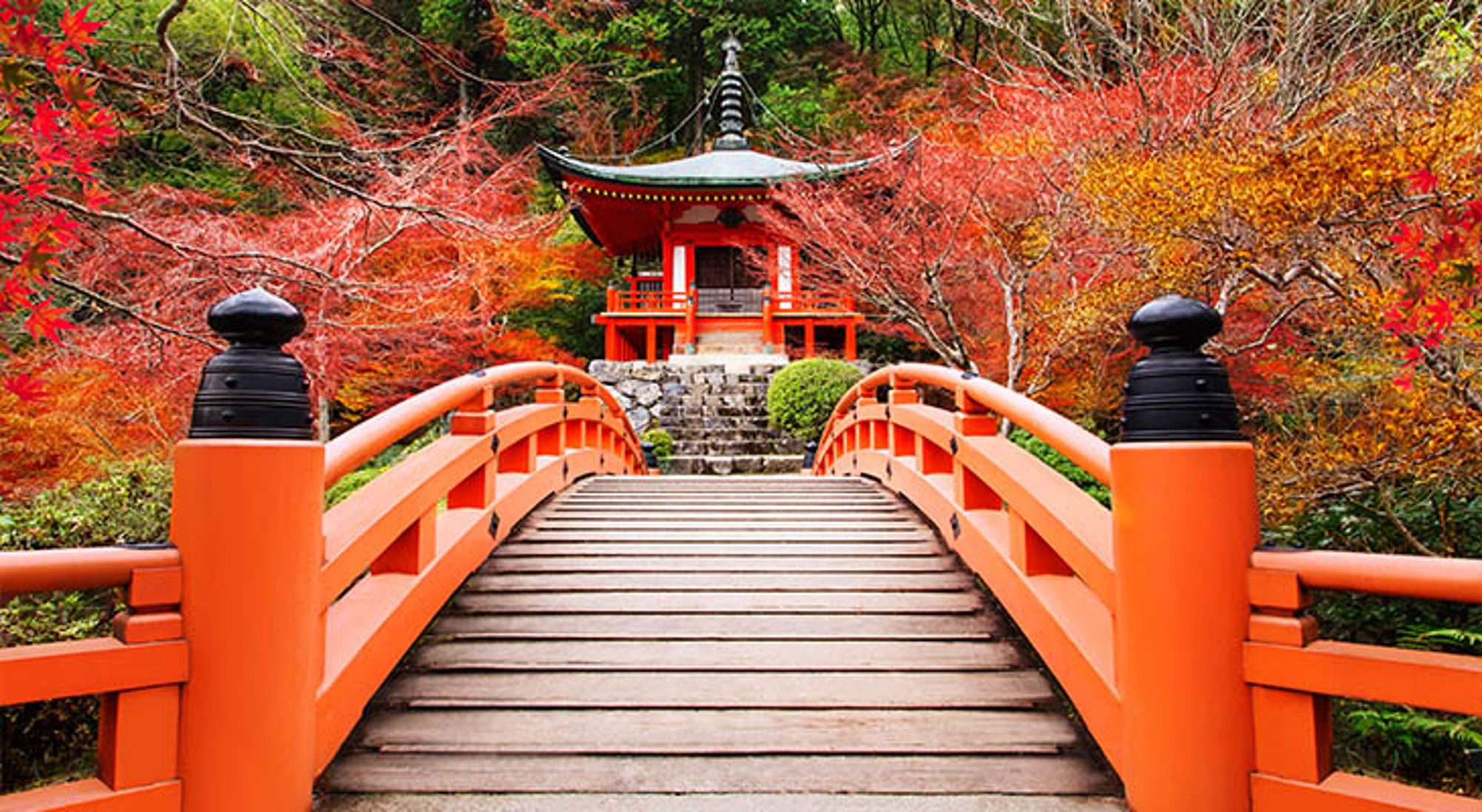 Tokio Japan Oranje brug naar een Japanse tempel tussen kleurrijke herfstbladeren.