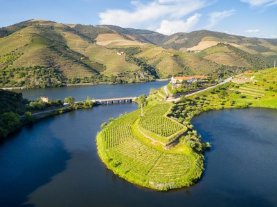 Wijngaarden langs de rivier de Douro in de Douro Vallei, met terrassen en een brug tussen de heuvels.