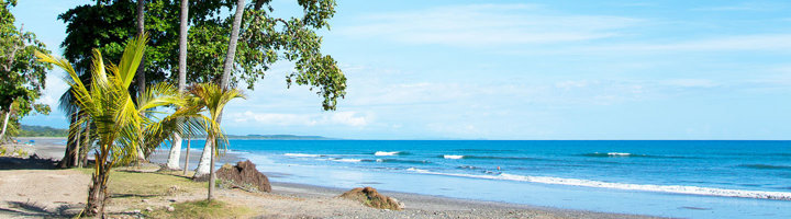 Strand van Bejuco in Costa Rica met palmbomen langs de kust en rustige golven.