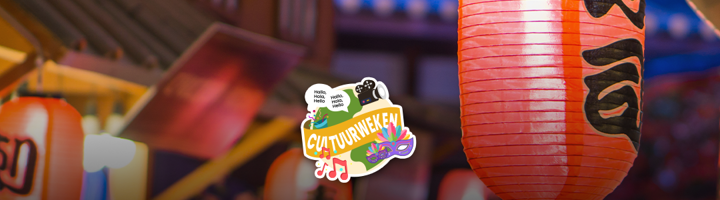 Japanse papieren lantaarns bij Sawadee Cultuurweken.