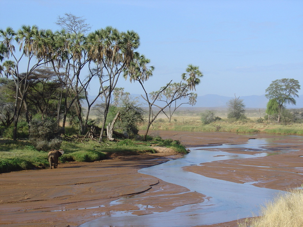 Olifant bij een rivier in de savanne tijdens groepsrondreis Kenia, Tanzania en Zanzibar.