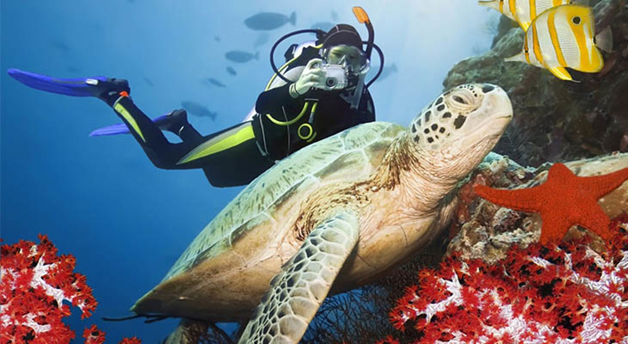 Duiken bij Sipadan Duiker fotografeert een zeeschildpad tussen koraal en vissen onder water.