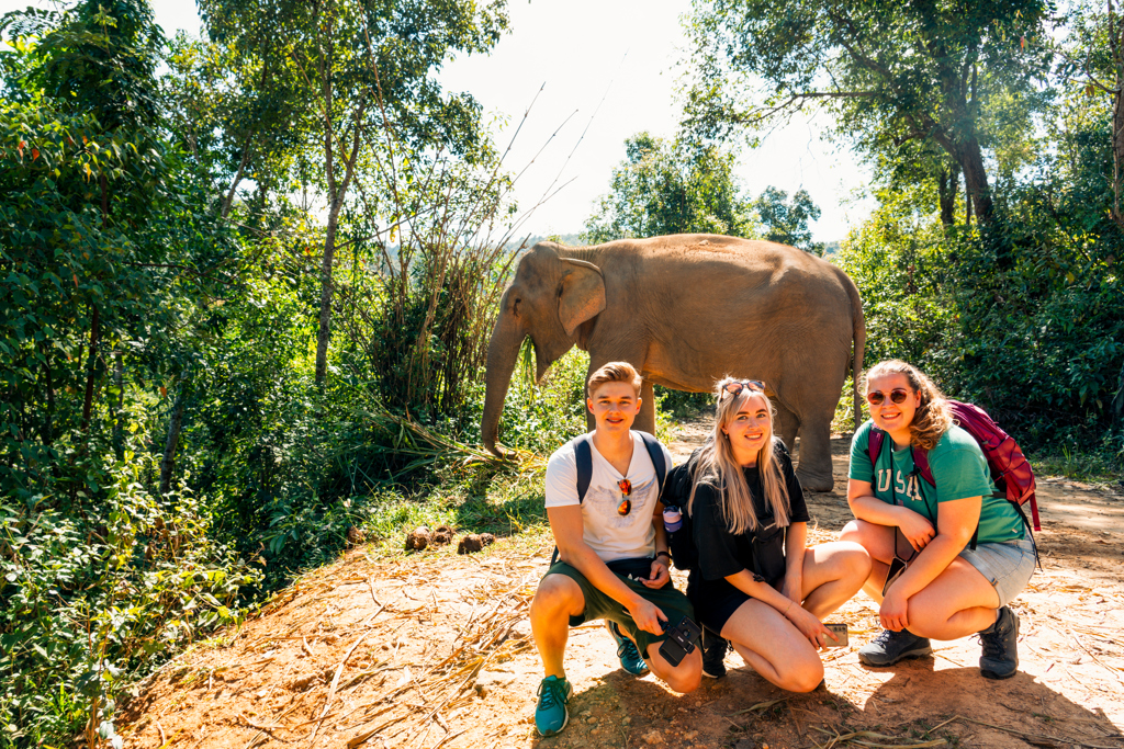 Jongeren tijdens 22-35ers reis Thailand poseren met olifant in de jungle.