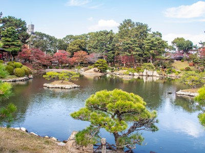 Japanse tuin met vijver, rotsen en dennenbomen in herfstkleuren tijdens Route Japan.