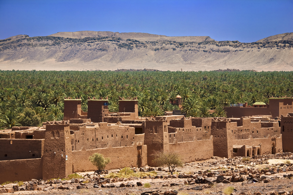 Leemkleurige kasbah aan de rand van een groene palmoase in Marokko, met bergen op de achtergrond.