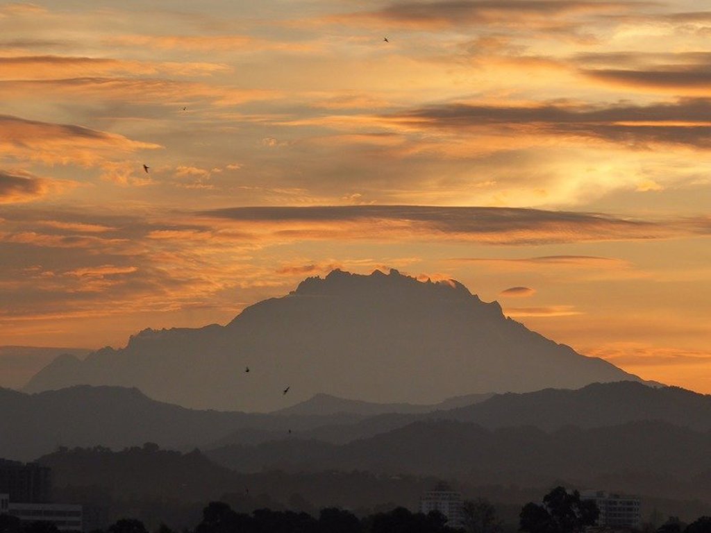 Groen gestreepte achtergrondafbeelding voor familiereis Maleisisch Borneo.