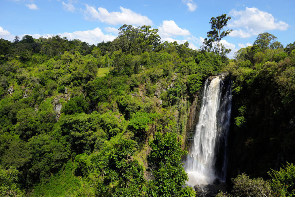 Waterval in groen tropisch bos tijdens groepsrondreis Kenia, Tanzania en Zanzibar.