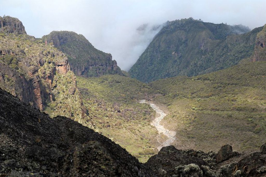 Groene bergvallei op de Kilimanjaro in Tanzania, met rotswanden en een pad door het landschap.